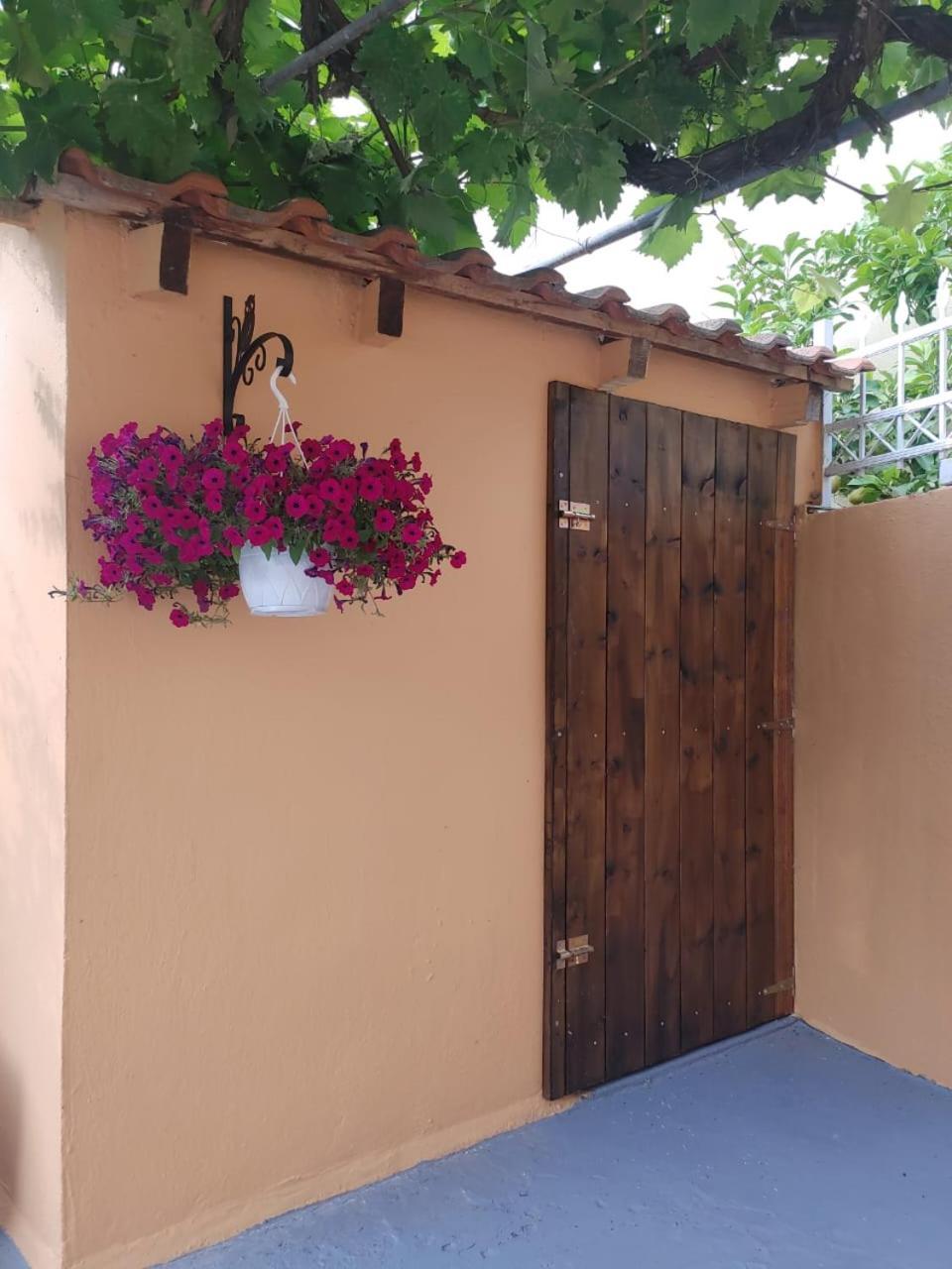 Maro'S Family Studios Thásos Exterior foto